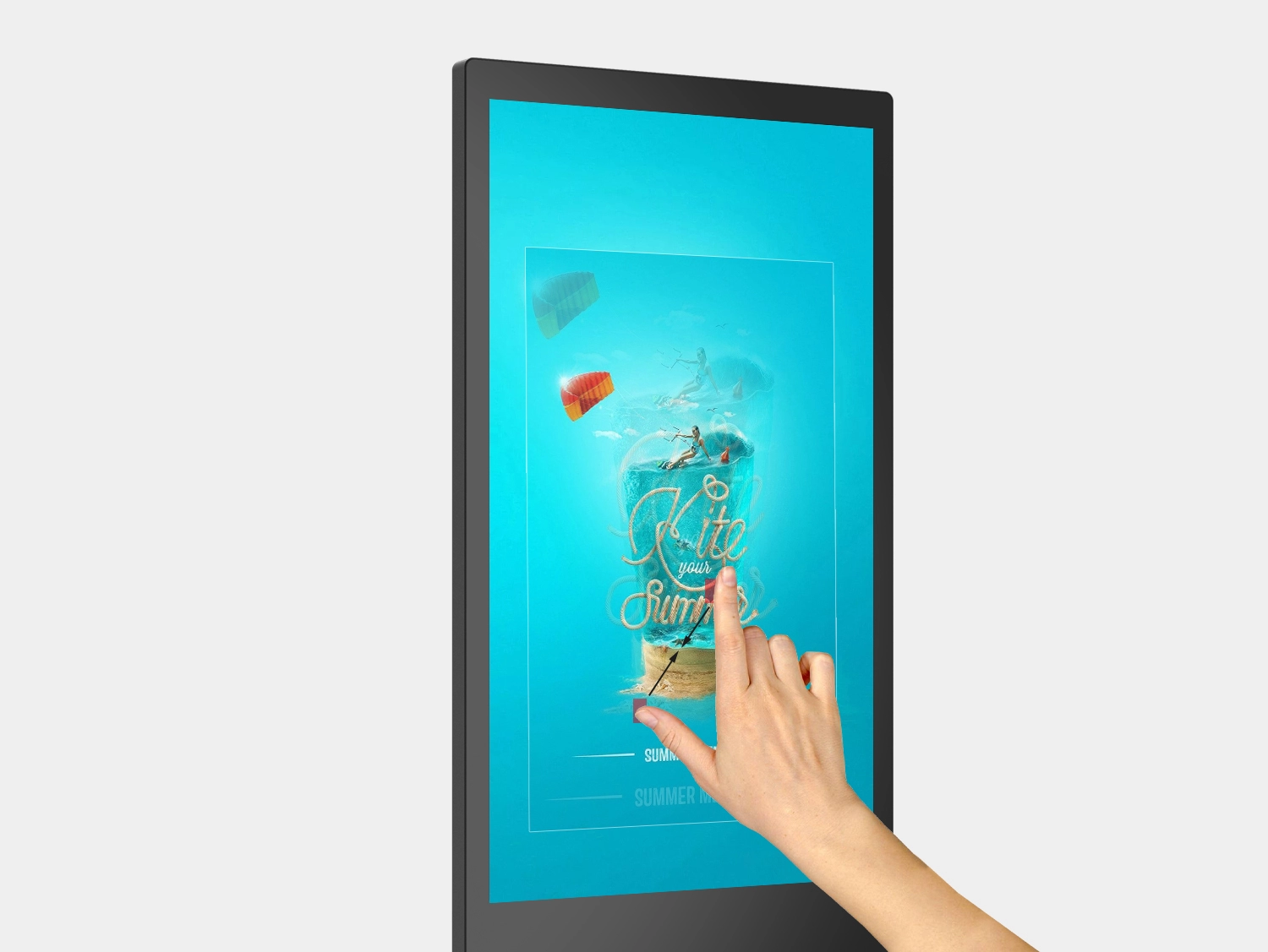  Erscheinungsbild und Struktur 